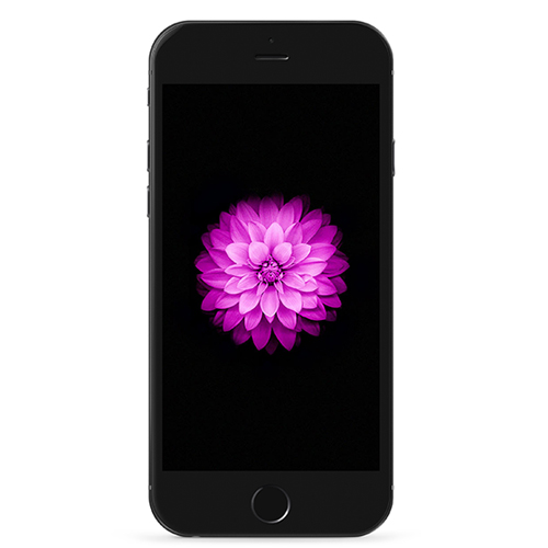 اپل آیفون 6 پلاس